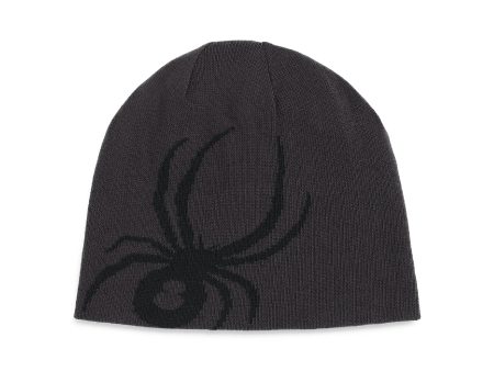 Spyder Arachnid Mens Beanie Supply