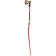 Leki WCR GS 3D Ski Poles 2024 For Cheap