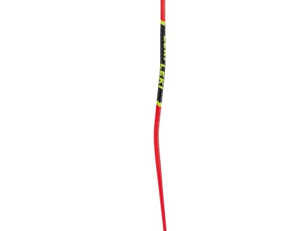 Leki WCR GS 3D Ski Poles 2024 For Cheap