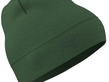 Arc teryx Rho Lightweight Adult Wool Toque For Discount