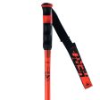 Rossignol Hero GS-SG Race Poles 2025 Fashion