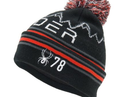 Spyder Icebox Boys Hat on Sale