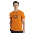 Icebreaker Merino Wireframe Wonder Mens SS Tee Online Hot Sale