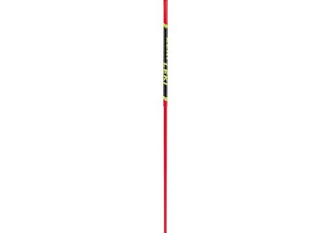 Leki Venom GS 3D Ski Poles 2025 For Discount