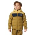 Helly Hansen Vertical Preschool Insulated Jacket 2025 For Sale