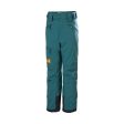 Helly Hansen Elements Junior Pant 2025 Fashion