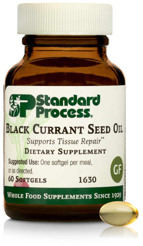 Black Currant Seed Oil, 60 Softgels Sale