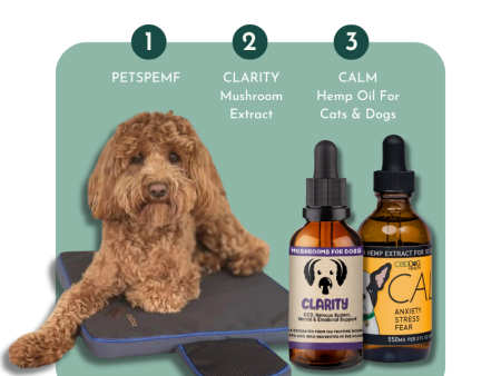 Calm Your Pet- Anxiety and Stress Relief for Cats and Dogs Cheap