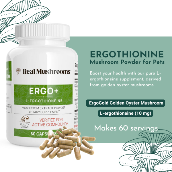 Ergo+ L-ergothioneine Supplement Online Hot Sale