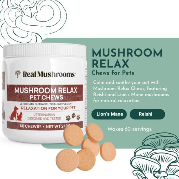 Mushroom Relax Pet Chews - Calming Treats for Dogs and Cats Online Hot Sale