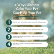 Ultimate Calm Your Pet Cheap