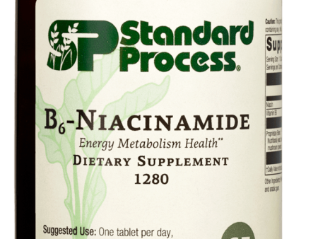 B6-Niacinamide, 330 Tablets For Sale