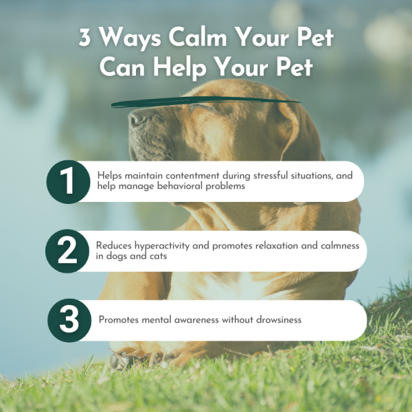 Calm Your Pet- Anxiety and Stress Relief for Cats and Dogs Cheap