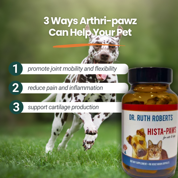 Arthri-Pawz - Best Joint Supplement for Dogs and Cats Online