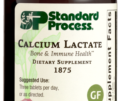 Calcium Lactate, 90 Tablets For Discount