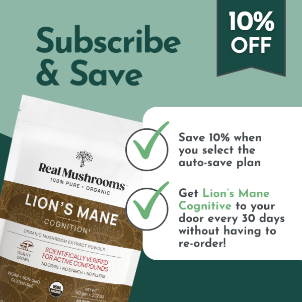 Organic Lion’s Mane Mushroom Powder for Pets Sale