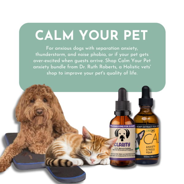 Calm Your Pet- Anxiety and Stress Relief for Cats and Dogs Cheap